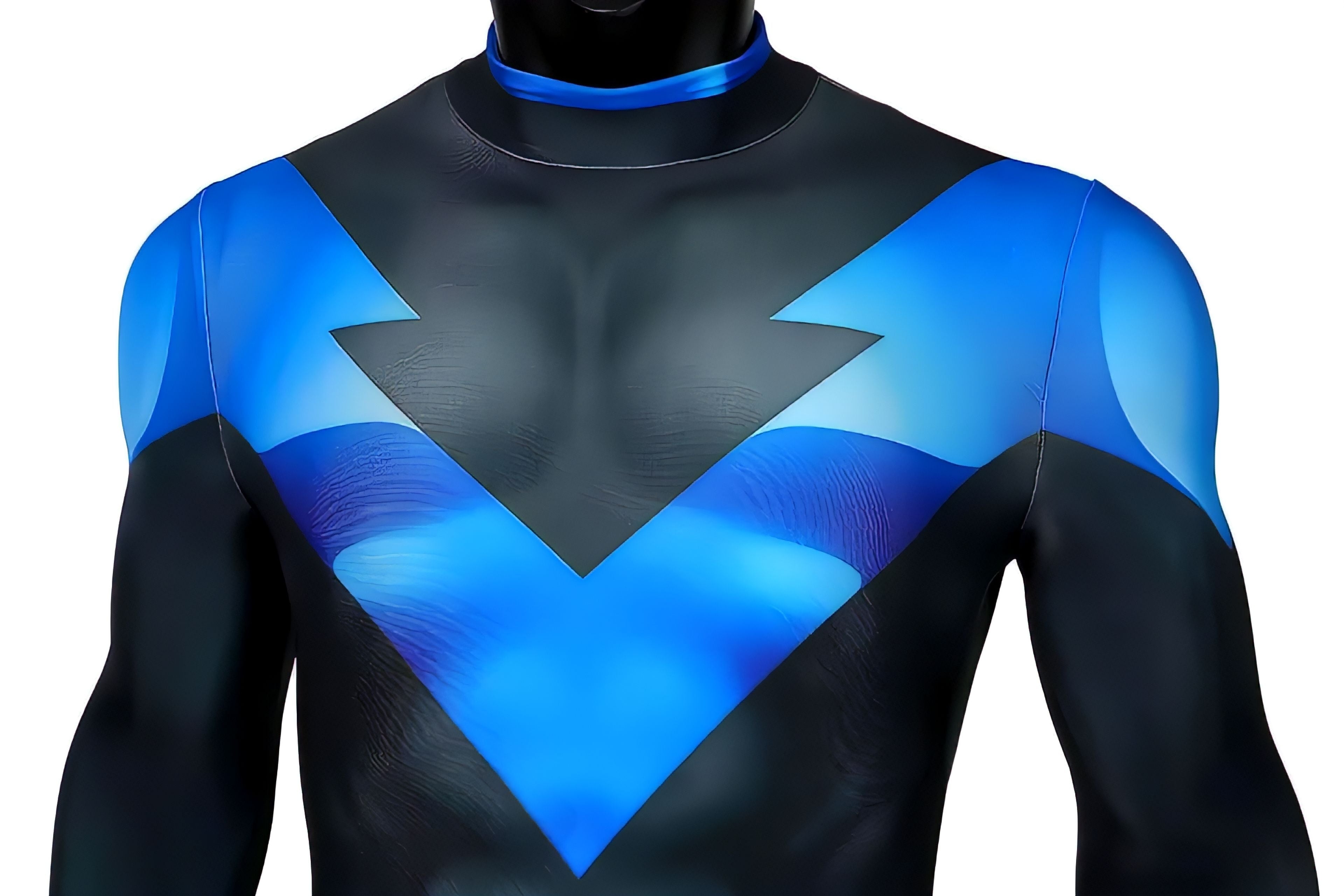 Nightwing (Dick Grayson) Costume - Adult Premium Cosplay Suit