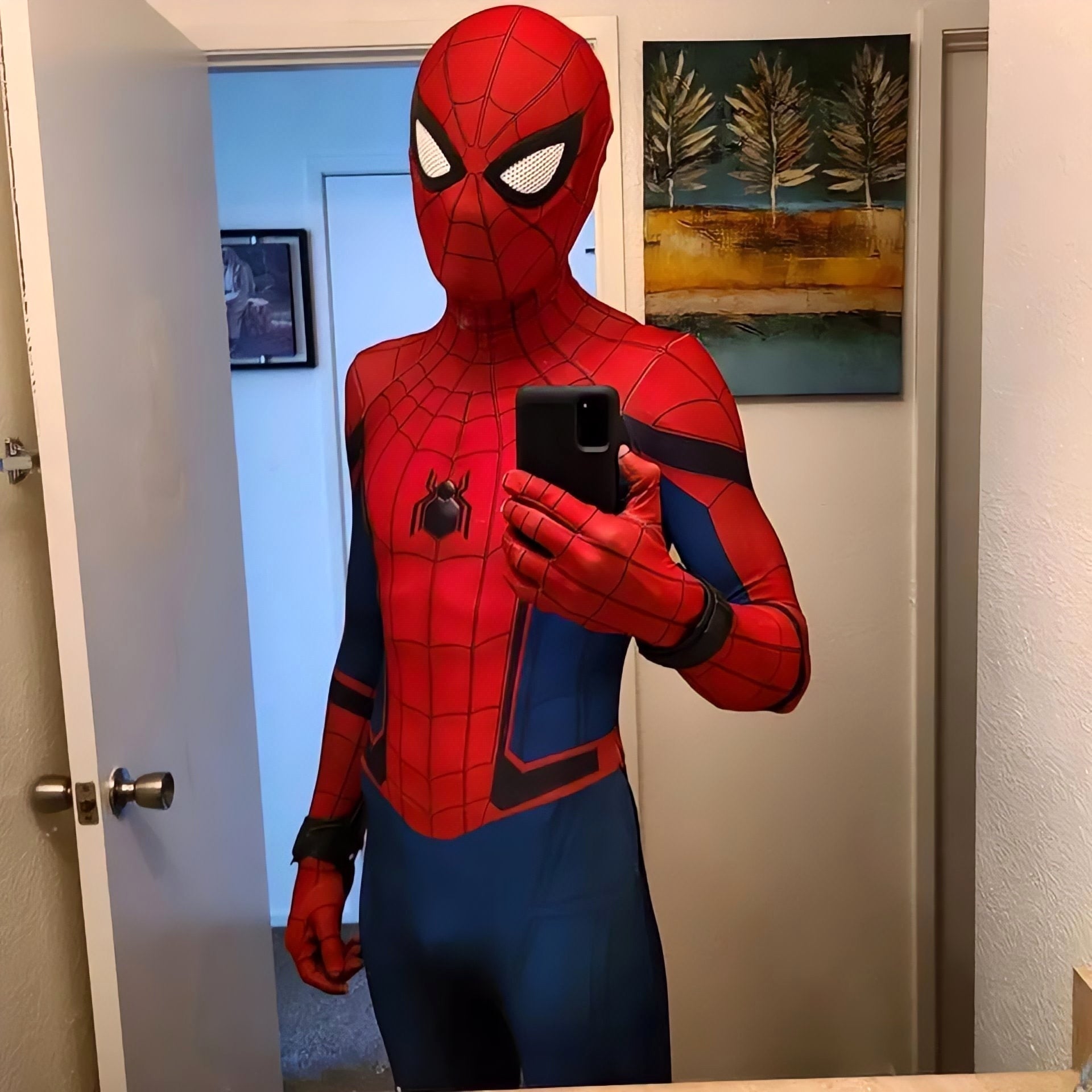 Spider-Man: Homecoming Costume (Tom Holland) - Adult Cosplay Suit
