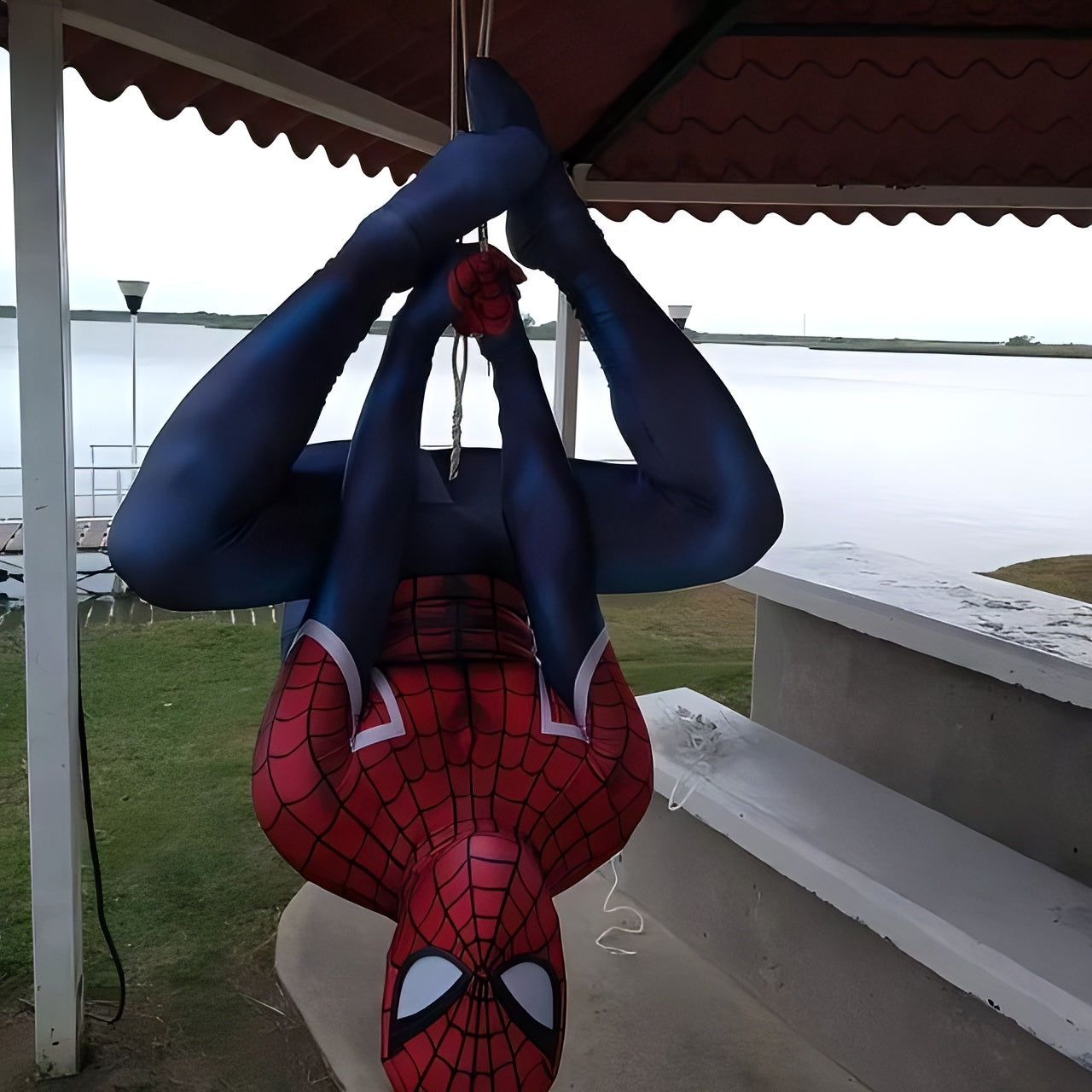 Spider-UK (British Spider-Man) Costume - Adult Premium Cosplay Suit